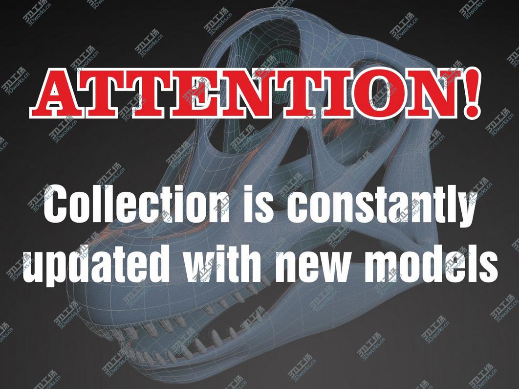 images/goods_img/20210113/20 in1 Dino skeleton Collection model/2.jpg